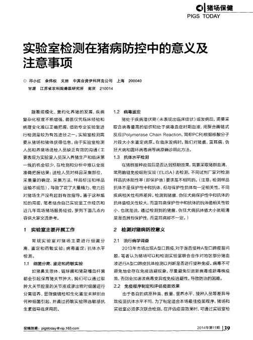 实验室检测在猪病防控中的意义及注意事项