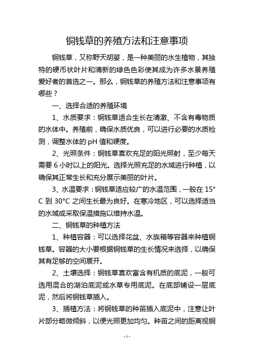 铜钱草的养殖方法和注意事项