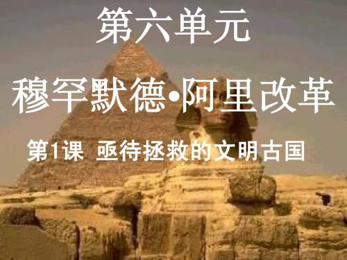 2012年高二历史课件：6.1  亟待拯救的文明古国 (人民版选修1)