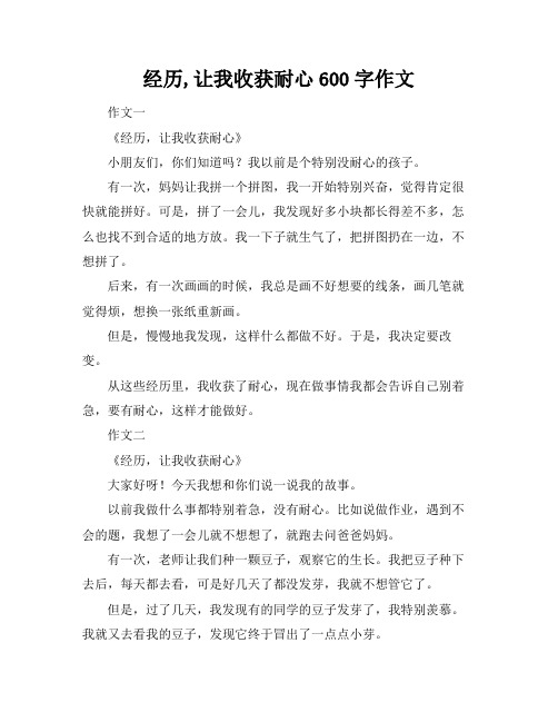 经历,让我收获耐心600字作文