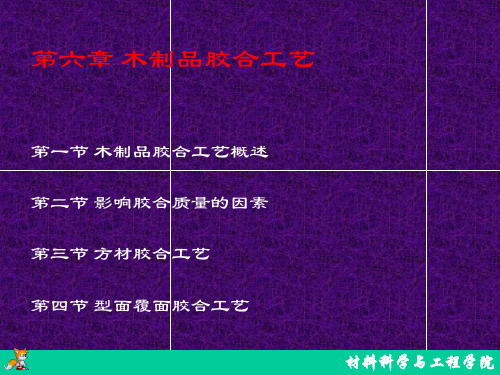 木制品胶合工艺--型面覆面胶合工艺(PPT 29页)