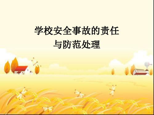 学校安全事故的责任与防范处理 PPT