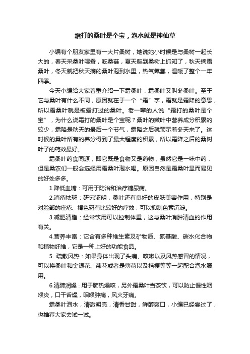 霜打的桑叶是个宝，泡水就是神仙草