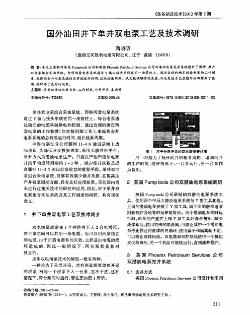 国外油田井下单井双电泵工艺及技术调研