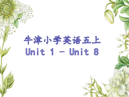 译林版(三起)五年级上册英语期末复习课件