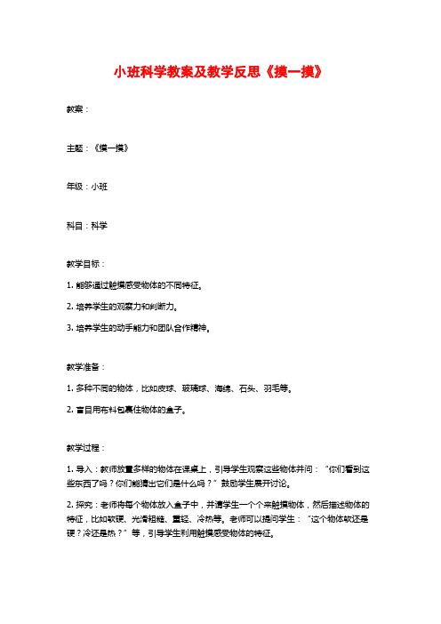 小班科学教案及教学反思《摸一摸》