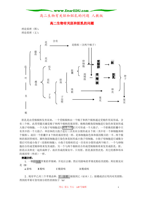 高二生物有关胚和胚乳的问题 人教版