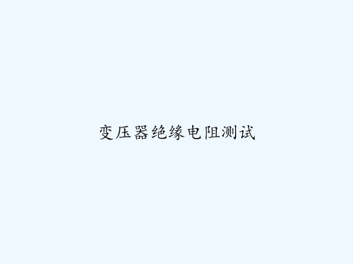 变压器绝缘电阻测试 PPT