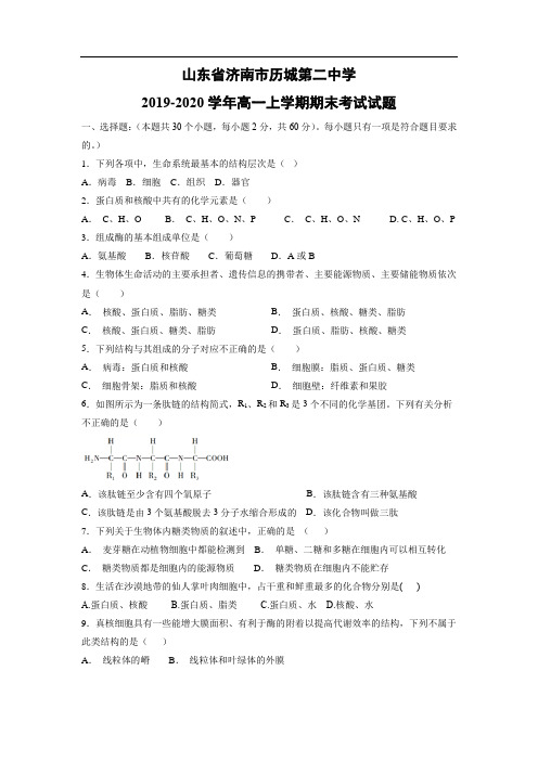 【生物】山东省济南市历城第二中学2019-2020学年高一上学期期末考试试题