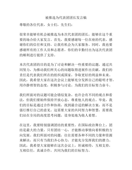 被推选为代表团团长发言稿