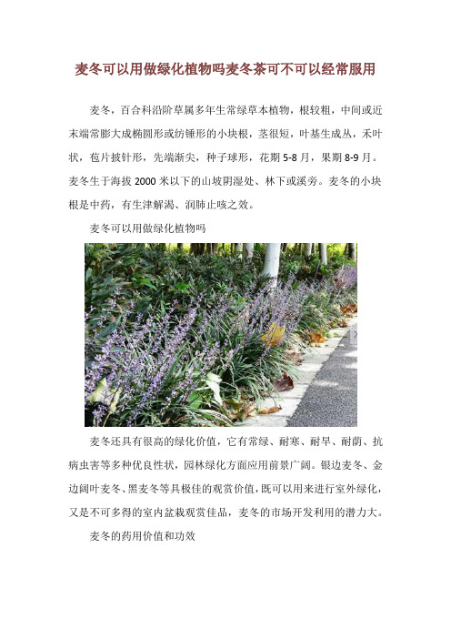 麦冬可以用做绿化植物吗 麦冬茶可不可以经常服用