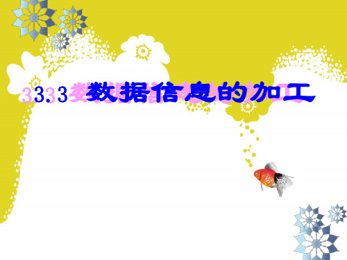 《数据信息的加工》课件25