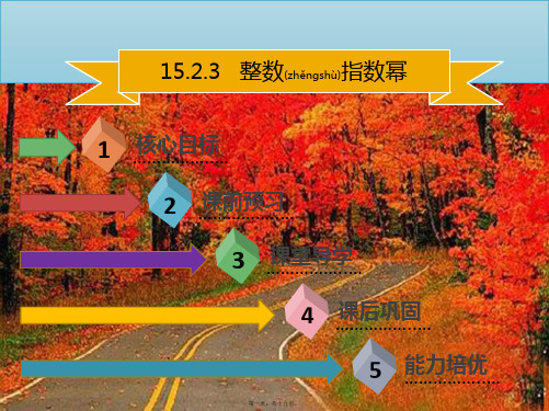 八年级数学上册 第十五章 分式 15.2.3 整数指数幂同步课件