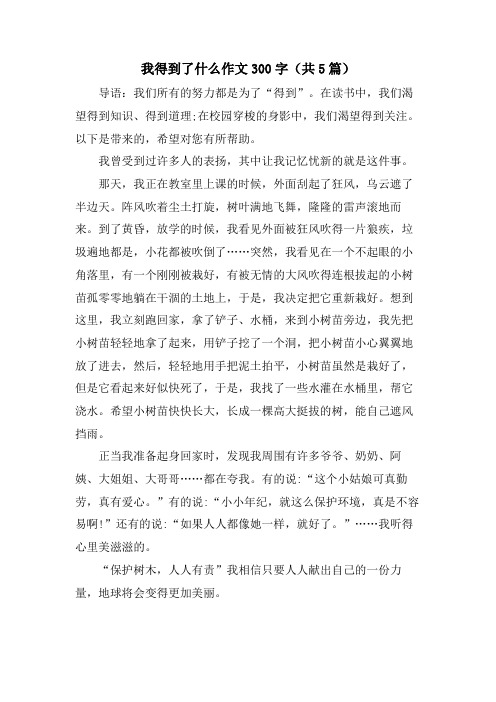 我得到了什么作文300字(共5篇)