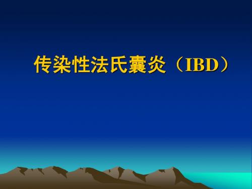 传染性法氏囊炎(IBD)