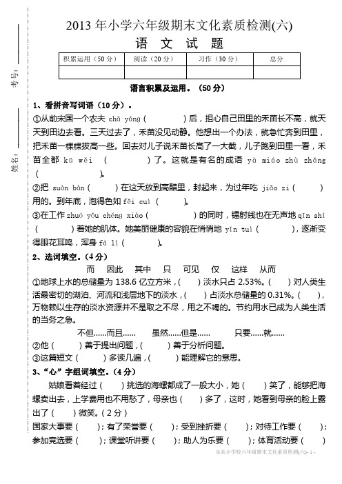 2013年六年级升学模拟考试题(六)