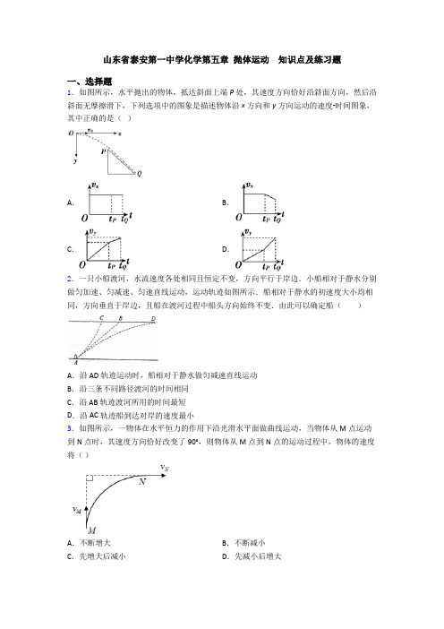 山东省泰安第一中学化学第五章 抛体运动  知识点及练习题