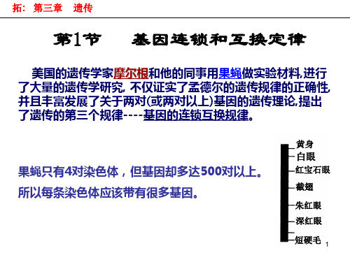 连锁互换定律