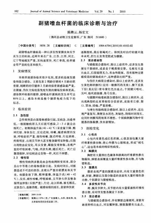 副猪嗜血杆菌的临床诊断与治疗