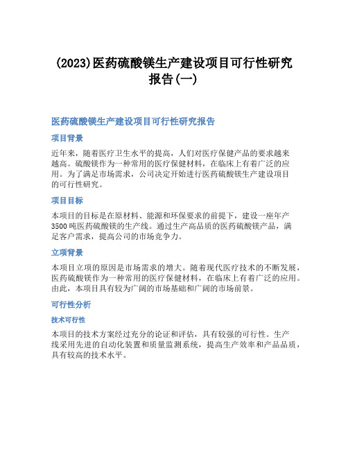 (2023)医药硫酸镁生产建设项目可行性研究报告(一)