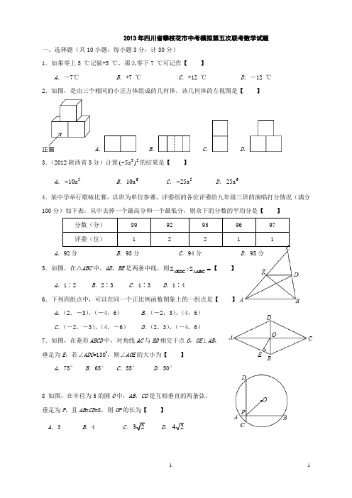 2013年四川省攀枝花市中考模拟第五次联考数学试题