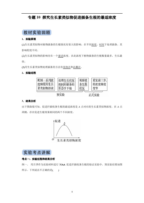 专题10 探究生长素类似物促进插条生根的最适浓度（解析版）