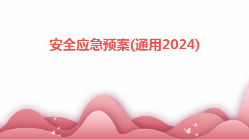 安全应急预案(通用2024)2024新版