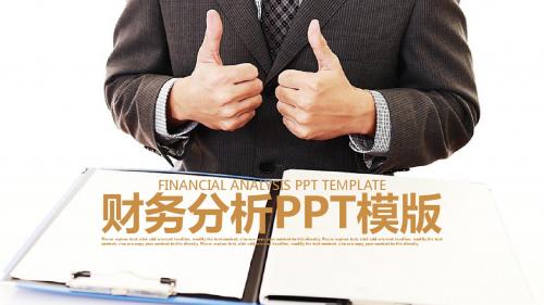 财务分析报表数据统计 理财业绩汇报PPT