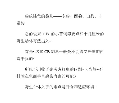 豹纹陆龟苗的选择与饲养纯净版