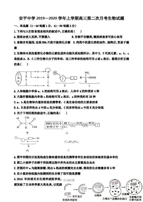 河北安平中学2020届高三上学期第二次月考生物试题 Word版含答案