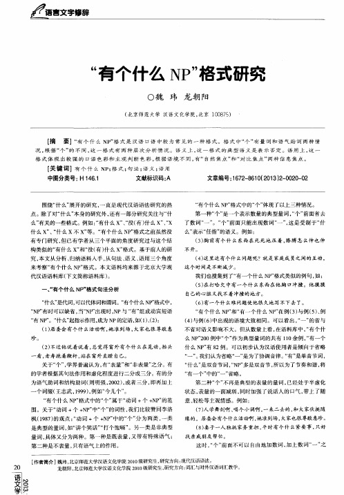 “有个什么NP”格式研究