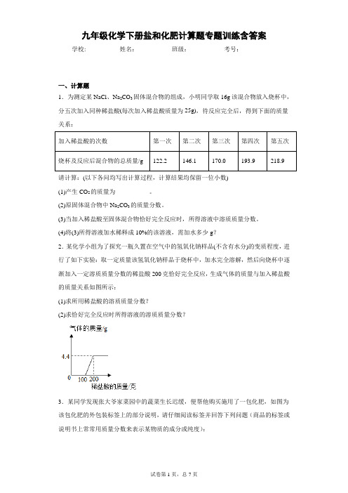 九年级化学下册盐和化肥计算题专题训练含答案