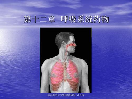 抗高血压药(antihypertensive drugs)