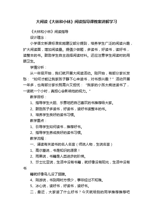 大阅读《大林和小林》阅读指导课教案讲解学习