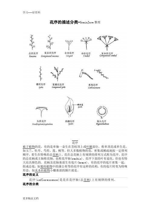 花序描述分类(最新整理)汇编