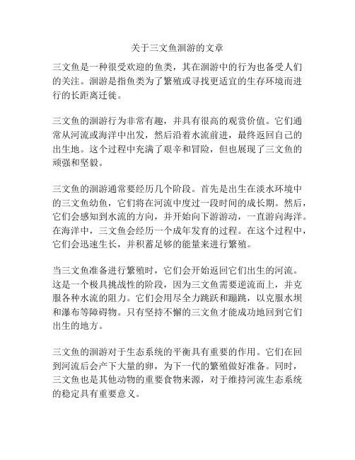 关于三文鱼洄游的文章