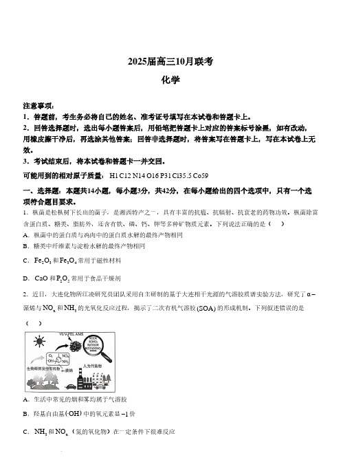 2025届湖南天壹名校联盟“长宁浏”高三10月大联考化学试题+答案