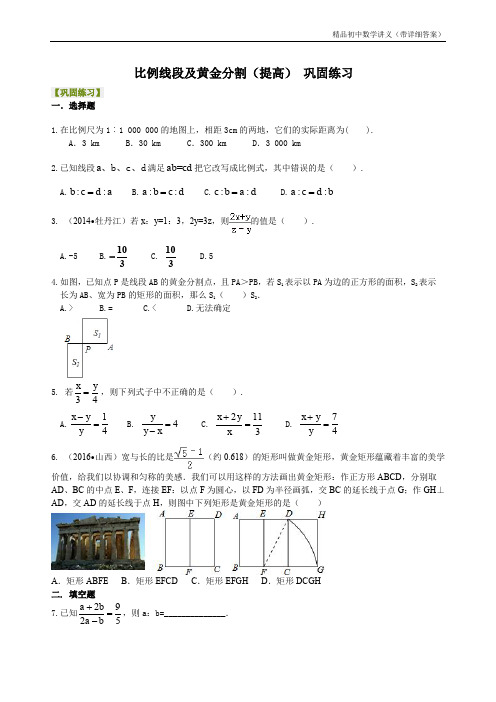 424918比例线段及黄金分割(提高) 巩固练习.doc