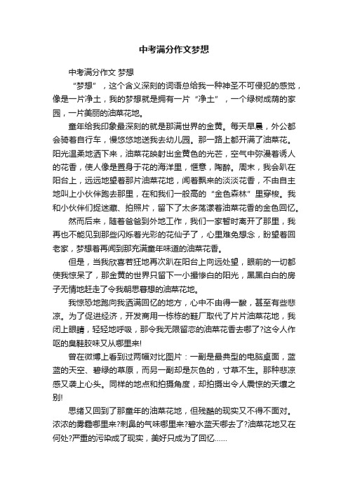 中考满分作文梦想