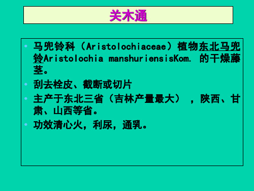 茎木类中药PPT课件