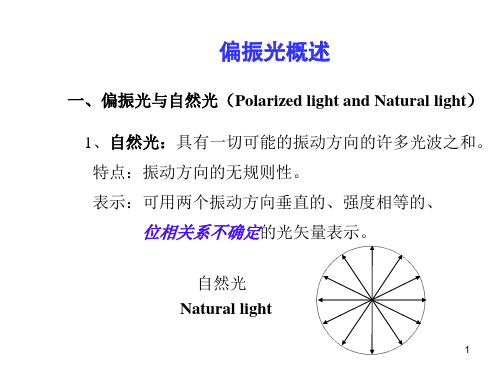 偏振光概述