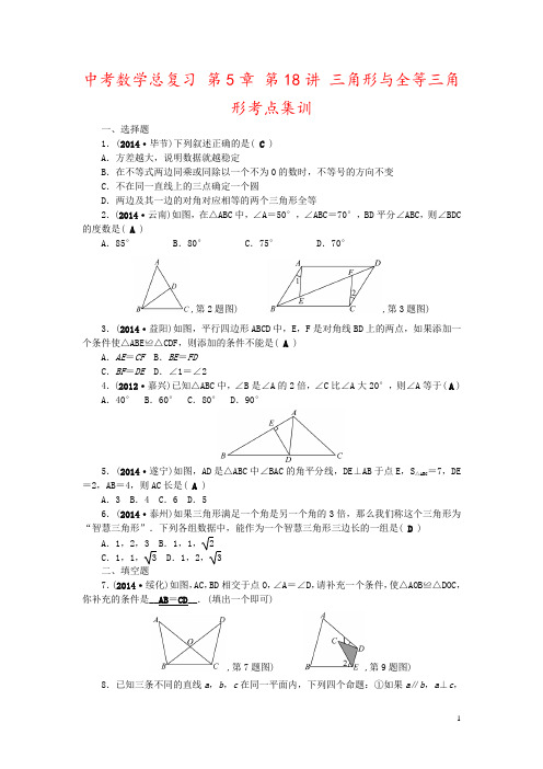 中考数学总复习 第5章 第18讲 三角形与全等三角形考点集训