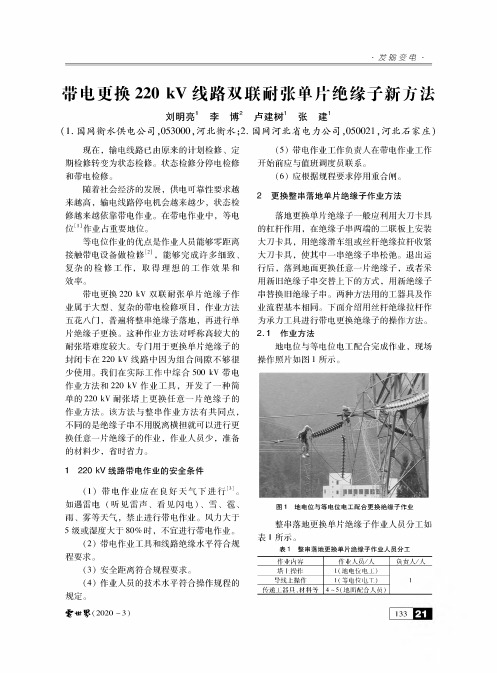 带电更换220kV线路双联耐张单片绝缘子新方法