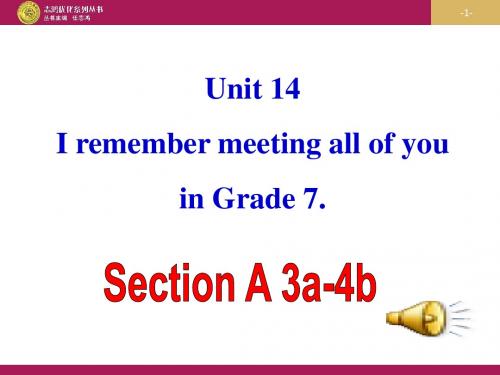 最新人教版九年级英语省优质课一等奖 Unite 14Section A( 3a—4b)