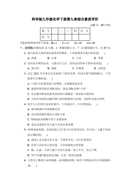 科学版九年级化学下册第九章综合素质评价 附答案