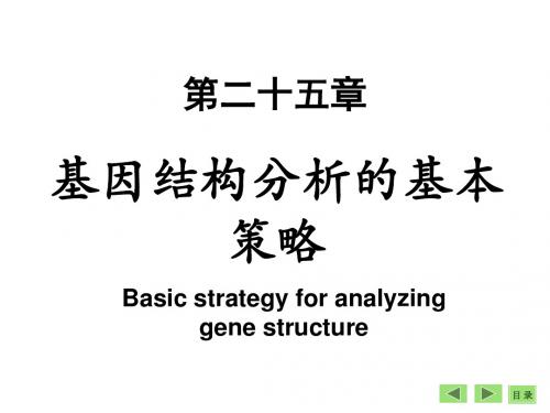 第二十五章基因结构分析的基本策略