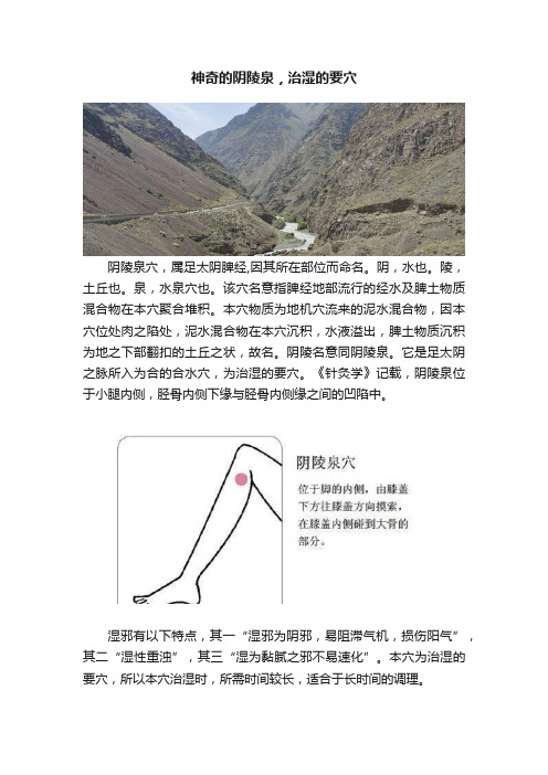 神奇的阴陵泉，治湿的要穴