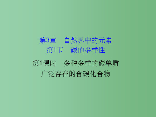 高中化学 3.1.1 多种多样的碳单质 广泛存在的含碳化合物(精讲优练课型) 鲁科版必修1