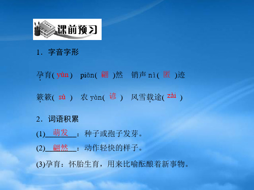 八级语文上册第四单元第16课大自然的语言配套课件人教新课标