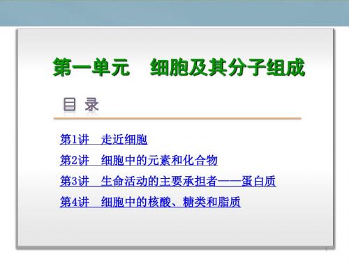 高考生物一轮复习 第1单元 细胞及其分子组成课件 新人教版